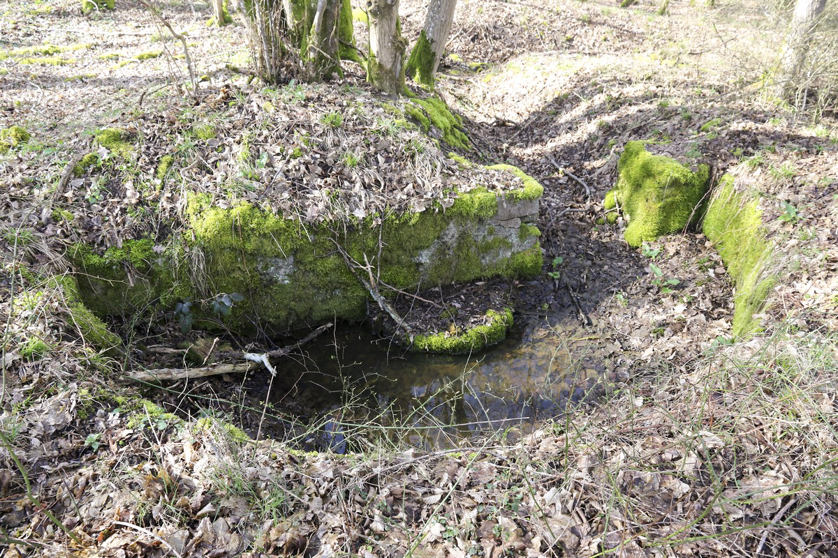 Ligne Maginot - STRANG 4 - (Cuve pour arme d'infanterie) -  - Alain Perouffe