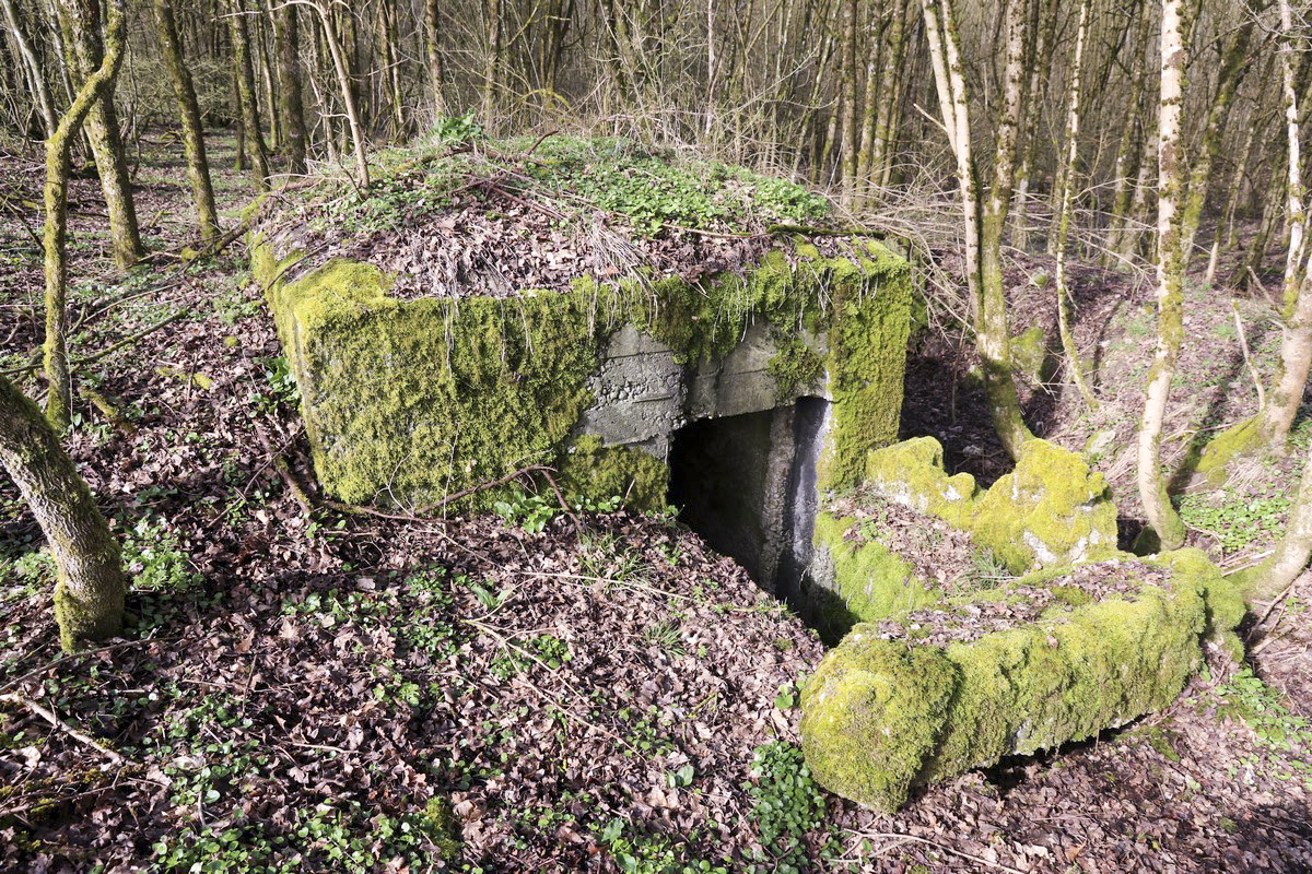 Ligne Maginot - STRANG 1 - (Abri) -  - Alain Perouffe