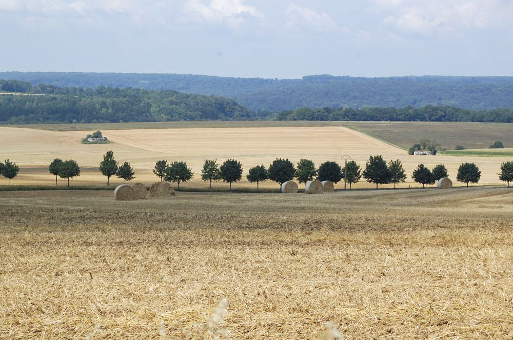 Ligne Maginot - MO3 - HAUT DE SALOMON - COTE 317 - (Observatoire d'artillerie) - Depuis l'observatoire, les ouvrages Mb51 et Mb52 en contrebas. - Christian RICHON / Devoitine520