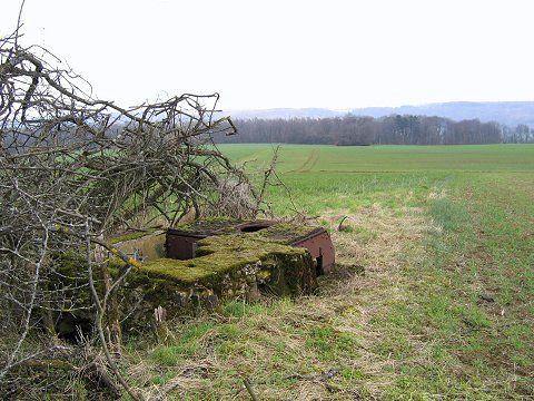 Ligne Maginot - Mo4 - La GRAVETTE - Vue arrière de l'observatoire, donnant une idée de la vue. - AALMA - lignemaginot.com