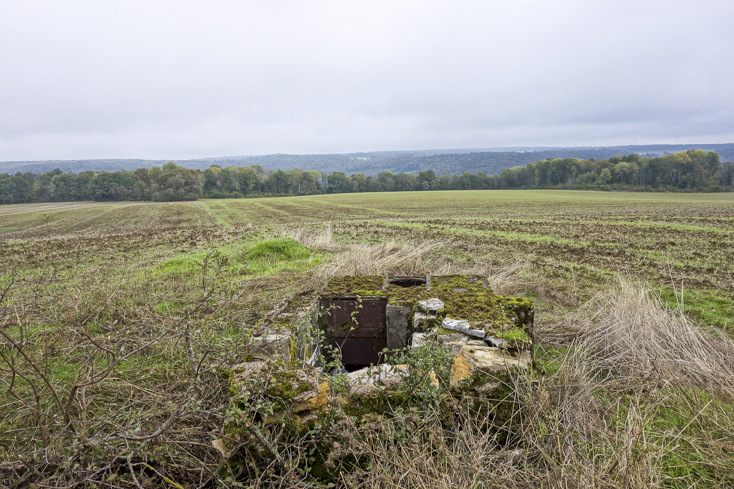 Ligne Maginot - MO4 - LA GRAVETTE - COTE 317 - (Observatoire d'artillerie) - Vue arrière de l'observatoire et de son champ d'observation : la vallée de la Chiers derrière le rideau d'arbres et la Belgique à l'horizon - Michel Teiten