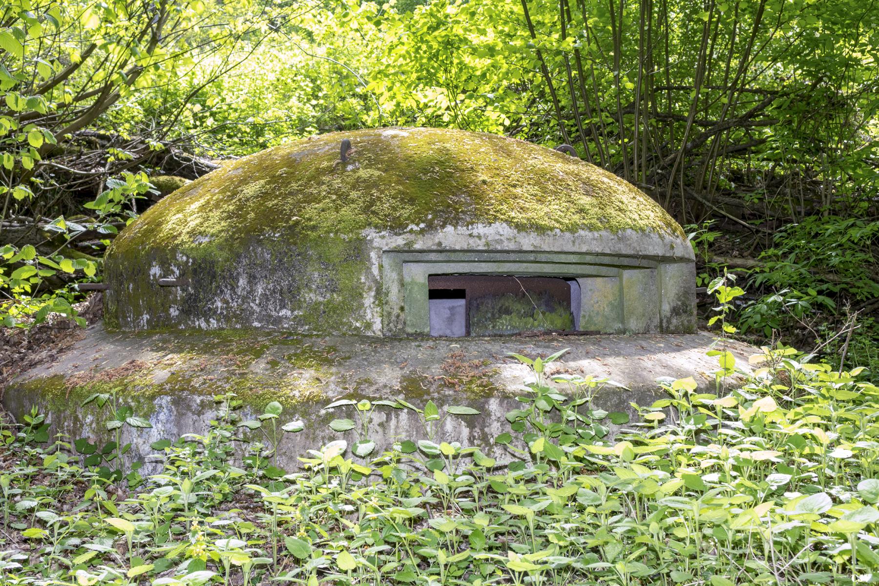Ligne Maginot - MT14 - (Cuve pour arme d'infanterie) -  - Lia VERMEULEN