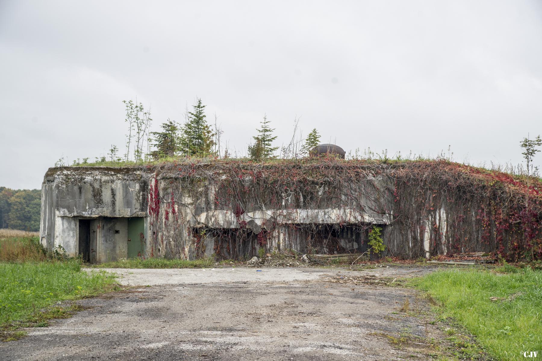 Ligne Maginot - 96 - MONUMENT - (Casemate d'infanterie - Double) -  - Lia VERMEULEN