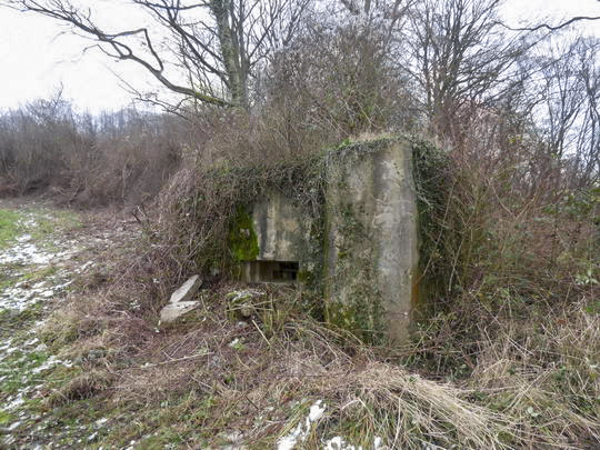 Ligne Maginot - CB164 - THEILBUSCH - (Blockhaus pour canon) -  - AALMA - www.lignemaginot.com