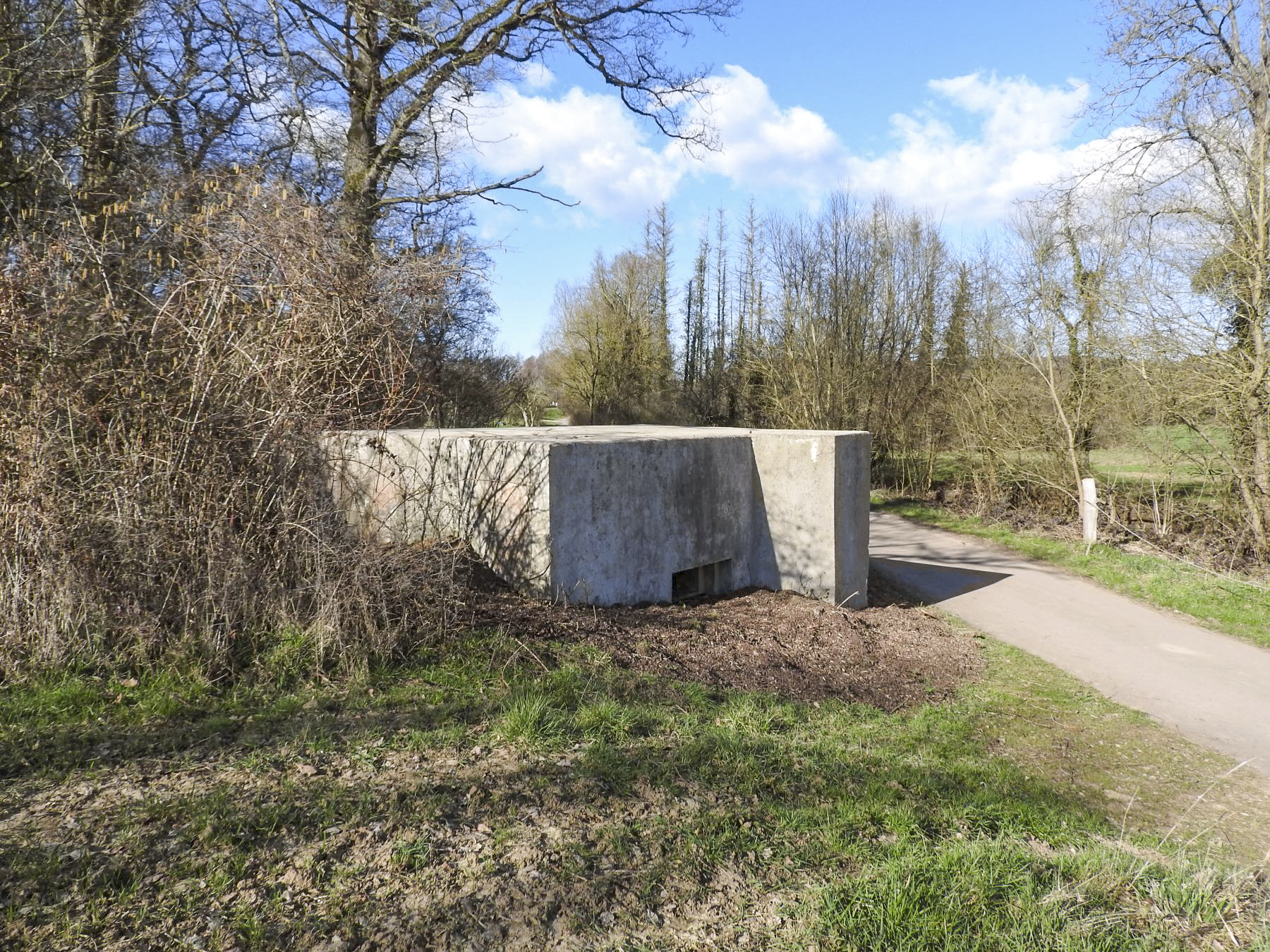 Ligne Maginot - CB164 - THEILBUSCH - (Blockhaus pour canon) - Les abords du blockhaus sont nettoyés
2023 - STENGER Mathieu