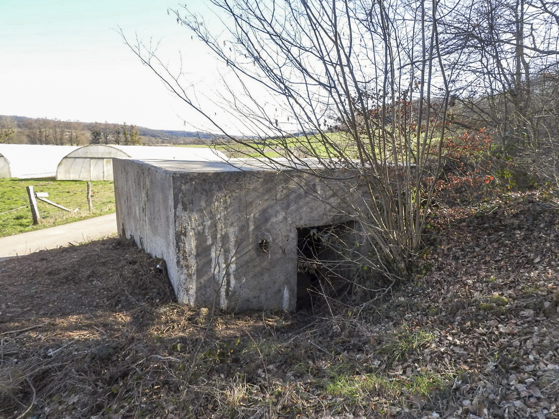 Ligne Maginot - CB164 - THEILBUSCH - (Blockhaus pour canon) - La façade arrière et l'entrée du blockhaus. - STENGER Mathieu