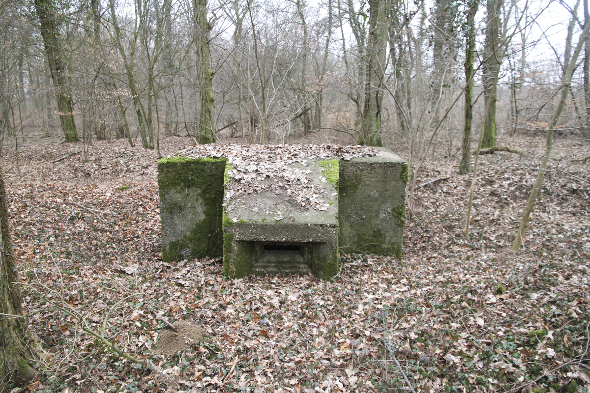 Ligne Maginot - AB5-E - (Blockhaus pour arme infanterie) -  - Alain Perouffe
