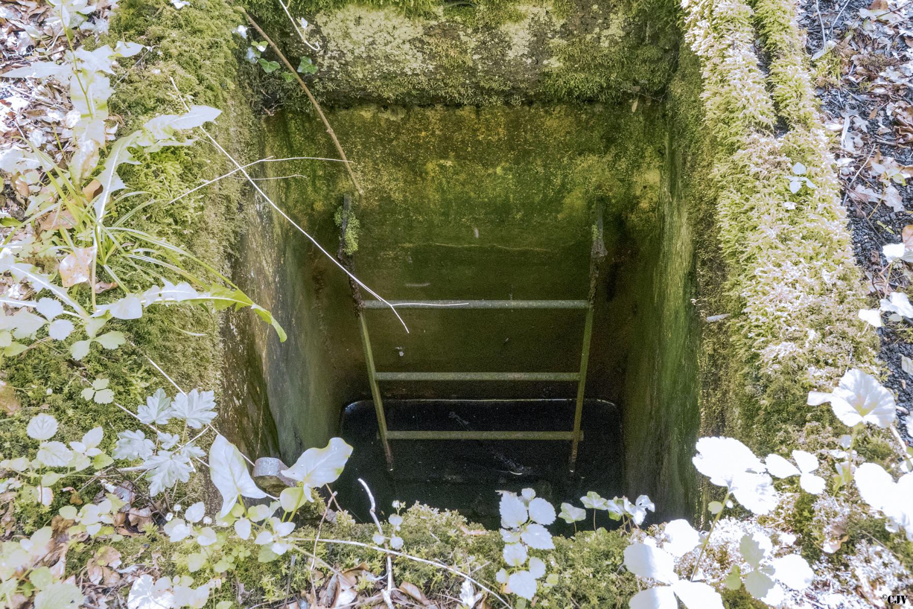 Ligne Maginot - 16A - (Chambre de coupure) -  - Lia VERMEULEN
