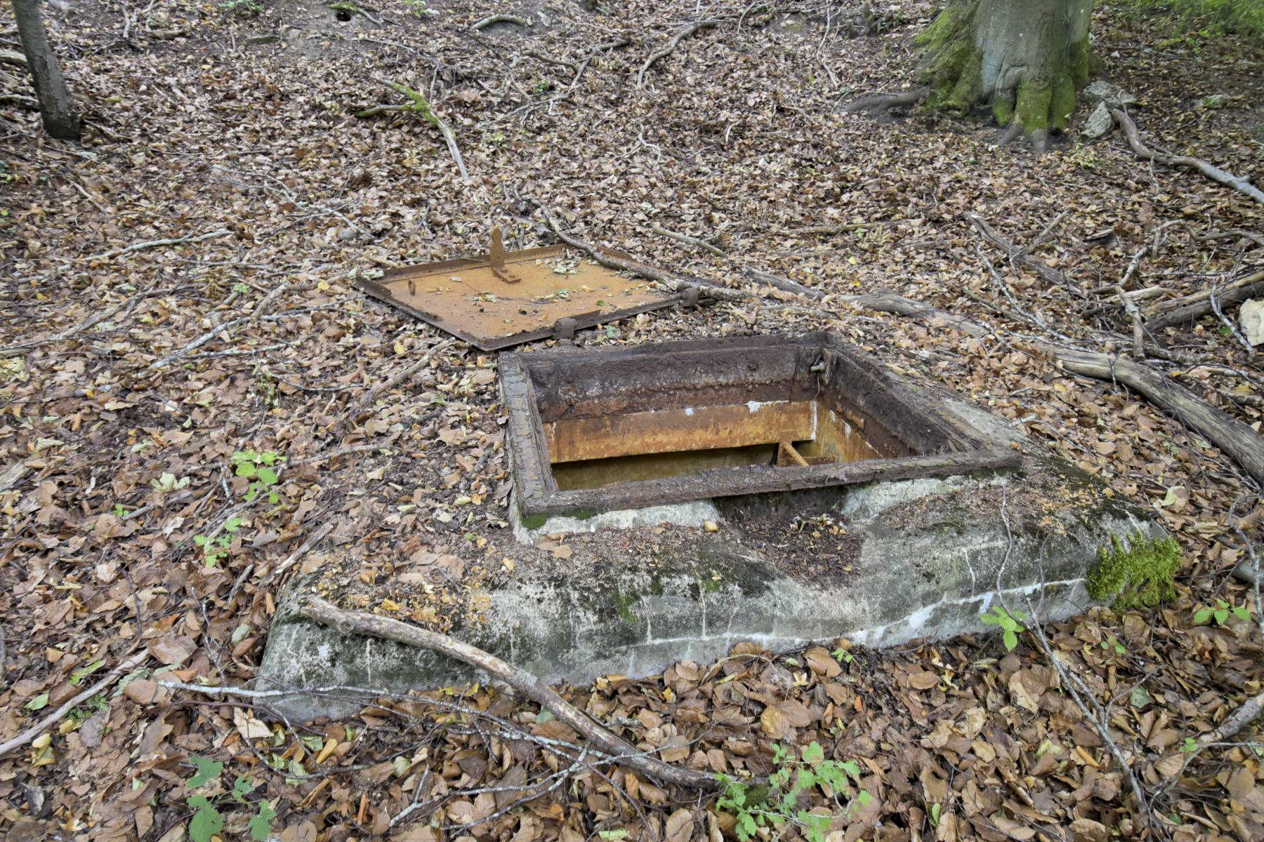 Ligne Maginot - 60A - (Chambre de coupure) -  - KNAPP Ludovic