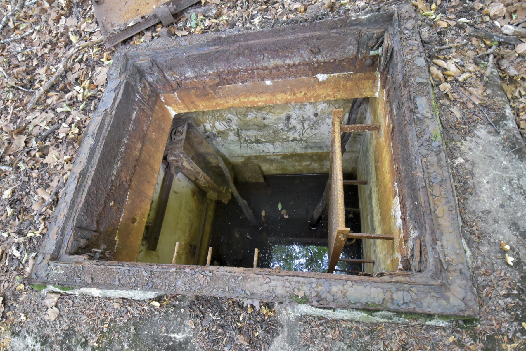 Ligne Maginot - 60A - (Chambre de coupure) -  - KNAPP Ludovic
