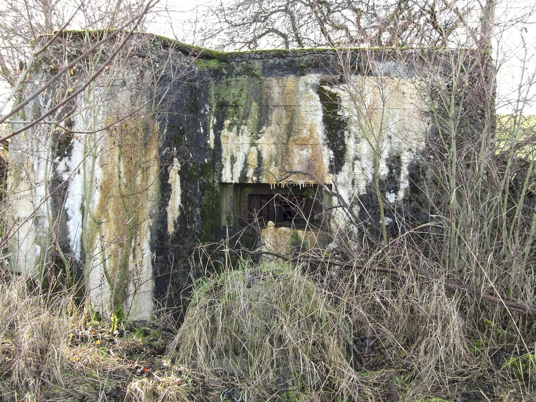 Ligne Maginot - AB7-E - BRANDSTUDEN  3 - (Blockhaus pour canon) - La façade de tir du blockhaus - STENGER Mathieu