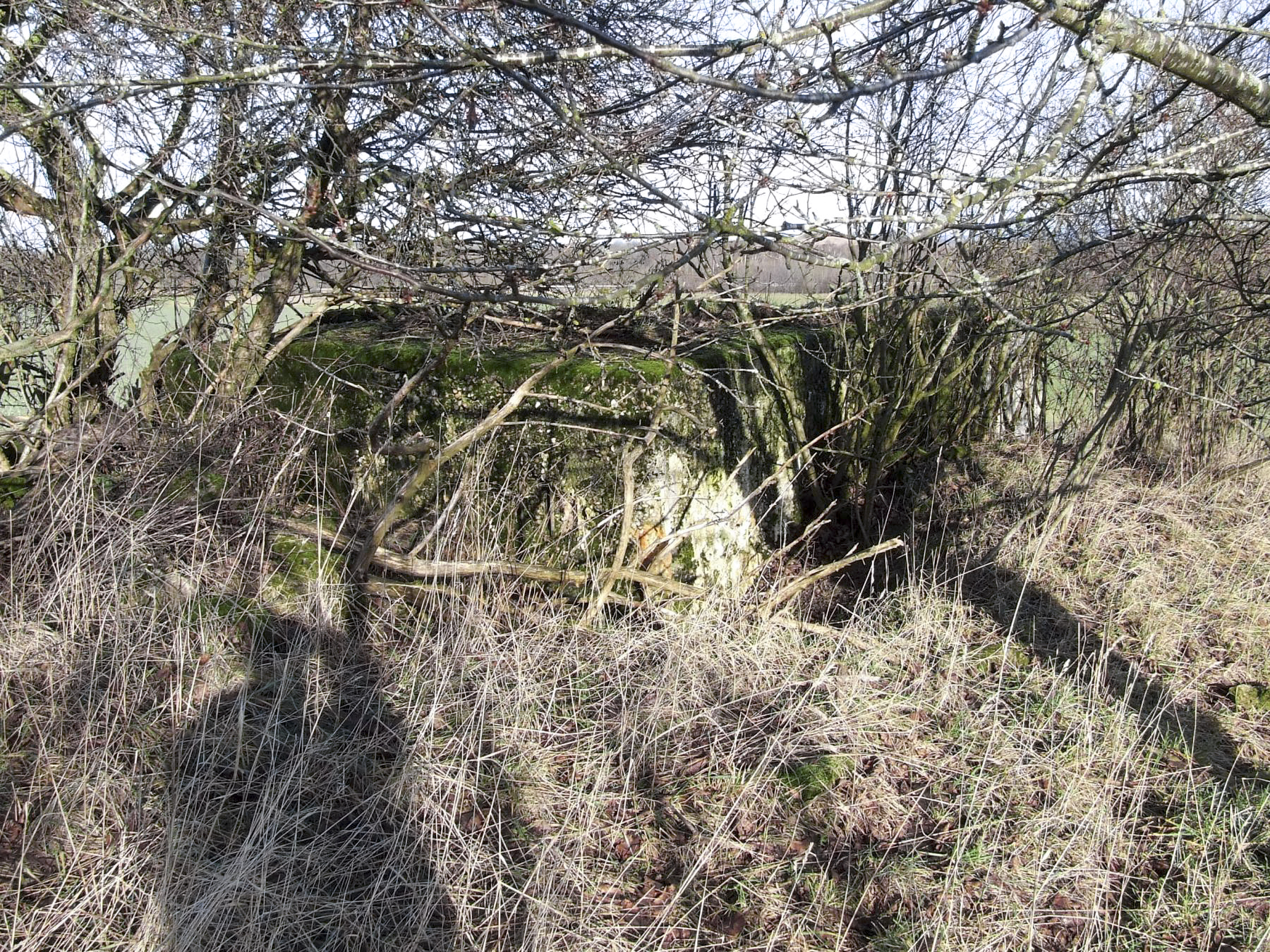 Ligne Maginot - AB7-E - BRANDSTUDEN  3 - (Blockhaus pour canon) - L'entrée est remblayée. - STENGER Mathieu