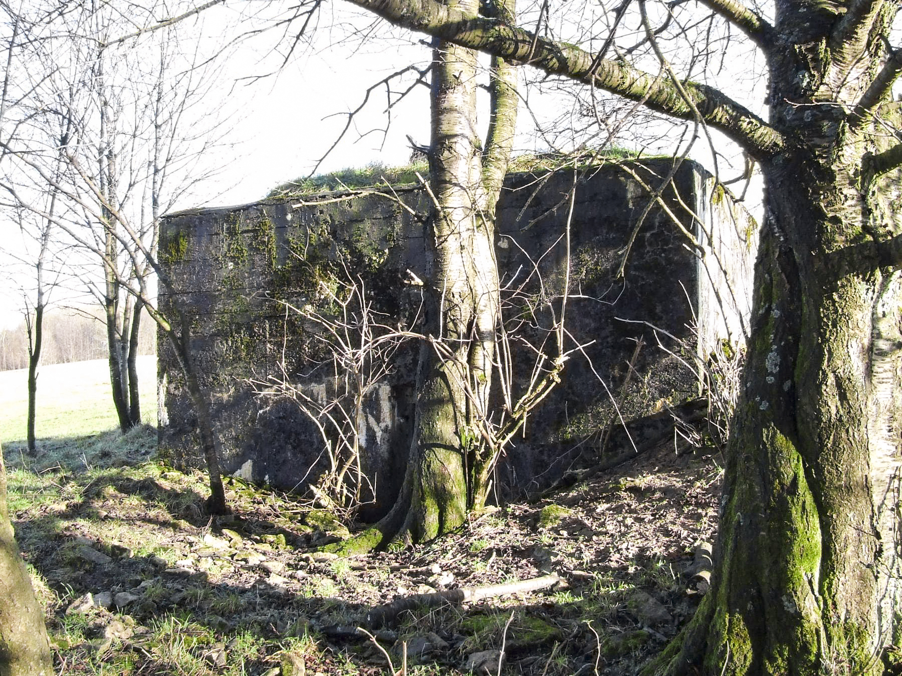 Ligne Maginot - AB37 - (Blockhaus pour arme infanterie) - La façade de l'entrée. - STENGER Mathieu