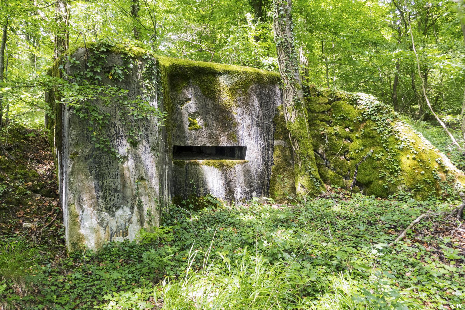 Ligne Maginot - AB39 - BAMBESCH SUD 3 - (Blockhaus pour arme infanterie) -  - Lia VERMEULEN