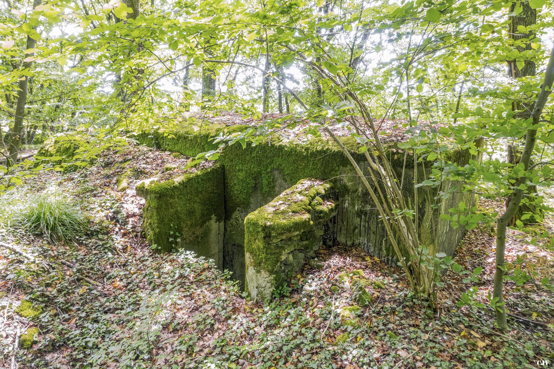 Ligne Maginot - AB39 - BAMBESCH SUD 3 - (Blockhaus pour arme infanterie) - L'entrée - Lia VERMEULEN