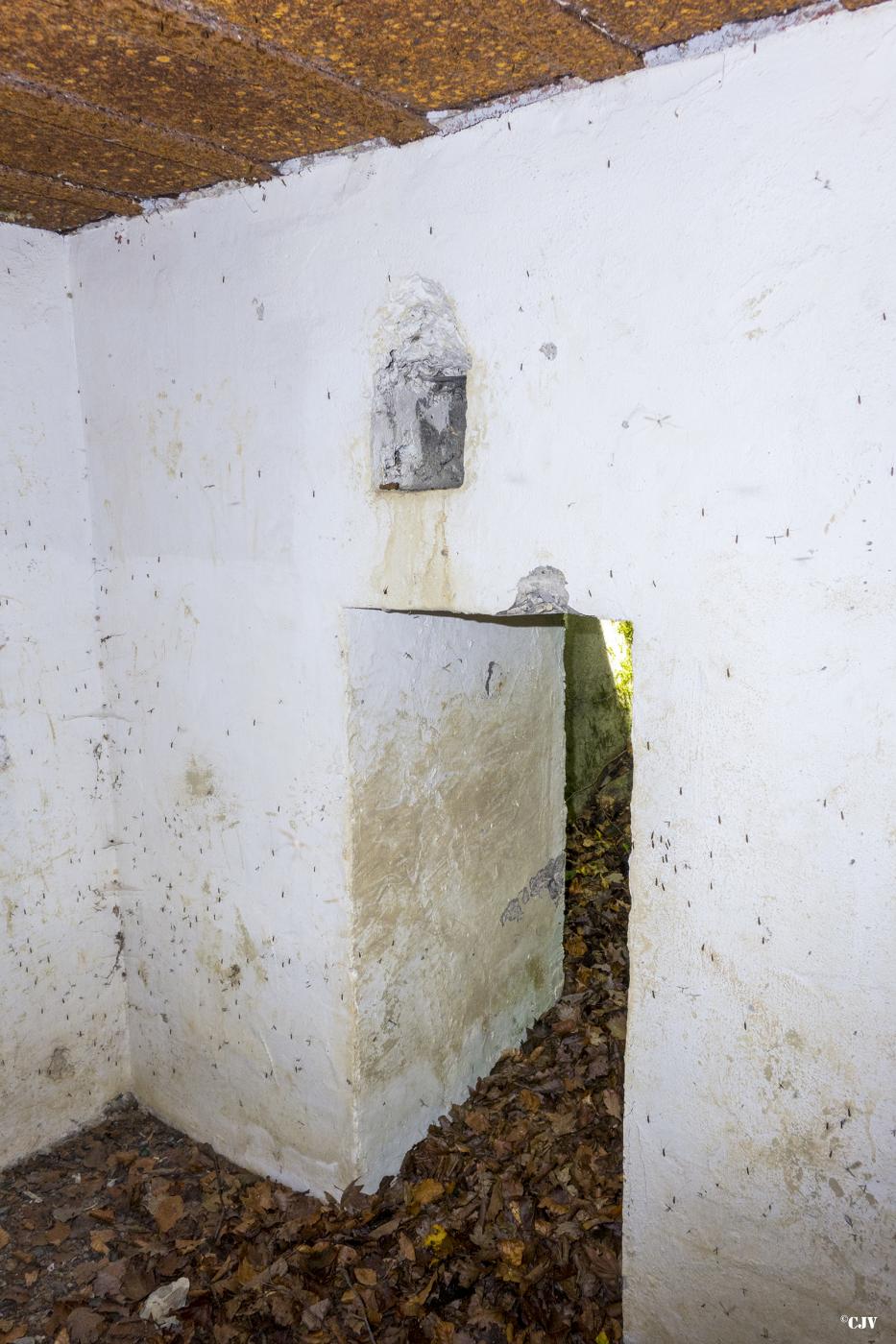 Ligne Maginot - AB39 - BAMBESCH SUD 3 - (Blockhaus pour arme infanterie) - L'entrée - Lia VERMEULEN