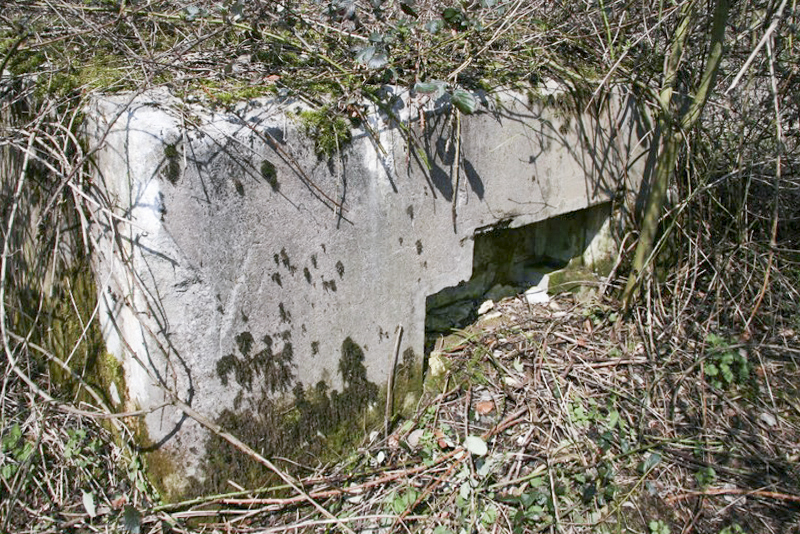 Ligne Maginot - ABO16 - STEINBESCH EST - (Blockhaus pour canon) -  - Alain Perouffe