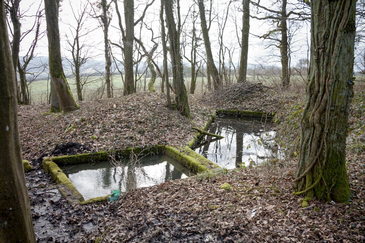 Ligne Maginot - ACA3 - BAMBESCH - (Casemate d'artillerie) - Bassin à proximité immédiate de la casemate - Fré Do