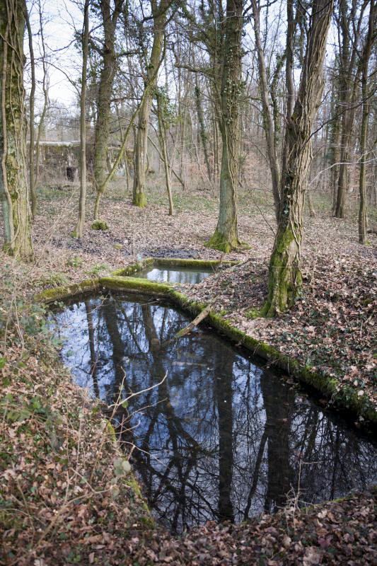 Ligne Maginot - ACA3 - BAMBESCH - (Casemate d'artillerie) - Bassin à proximité immédiate de la casemate - Fré Do