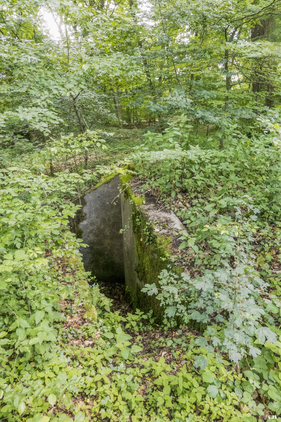 Ligne Maginot - BAMBESCH 4 - (Abri) -  - Lia VERMEULEN