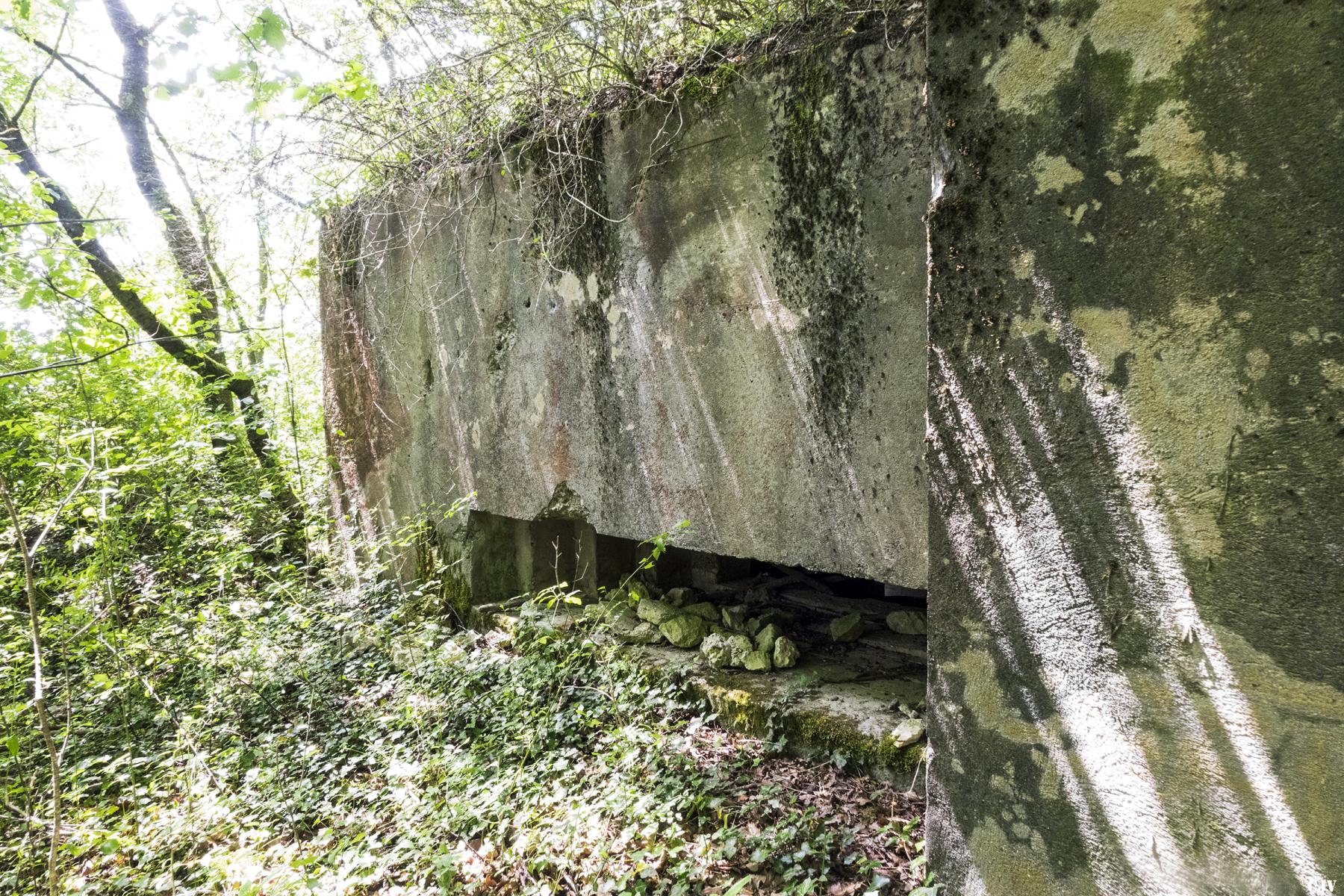 Ligne Maginot - BAMBESCH EST 2 - (Blockhaus pour canon) -  - Lia VERMEULEN
