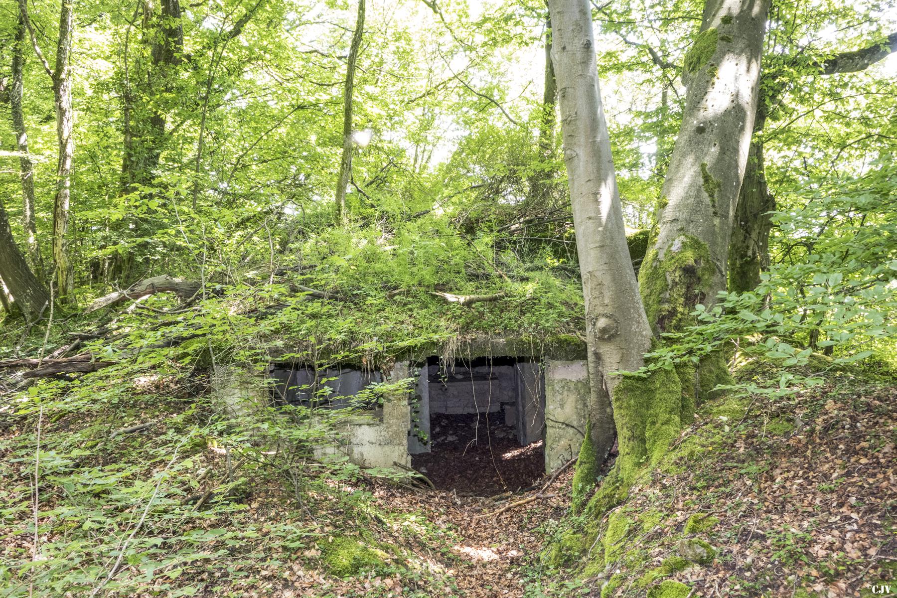 Ligne Maginot - BAMBESCH EST 2 - (Blockhaus pour canon) -  - Lia VERMEULEN