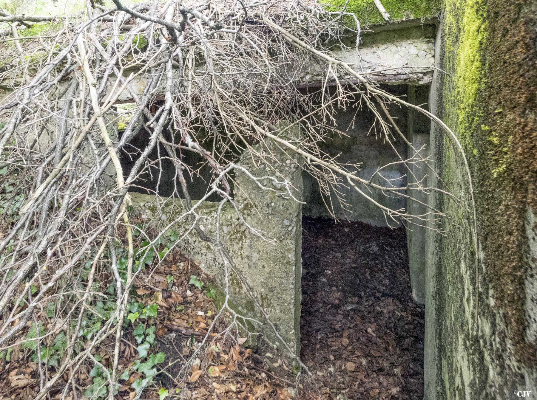 Ligne Maginot - BAMBESCH EST 2 - (Blockhaus pour canon) -  - Lia VERMEULEN