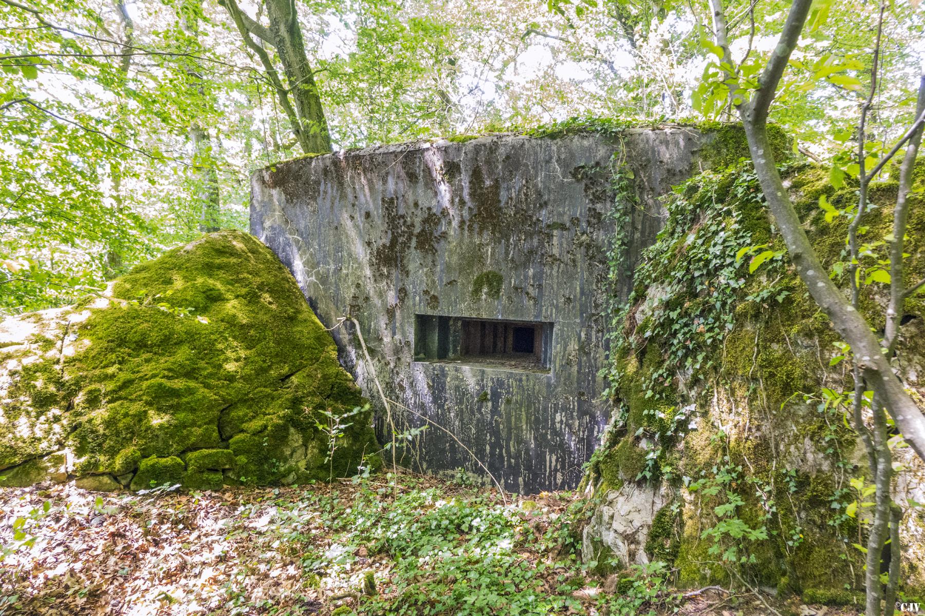 Ligne Maginot - BAMBESCH SUD 2 - (Blockhaus pour arme infanterie) -  - Lia VERMEULEN