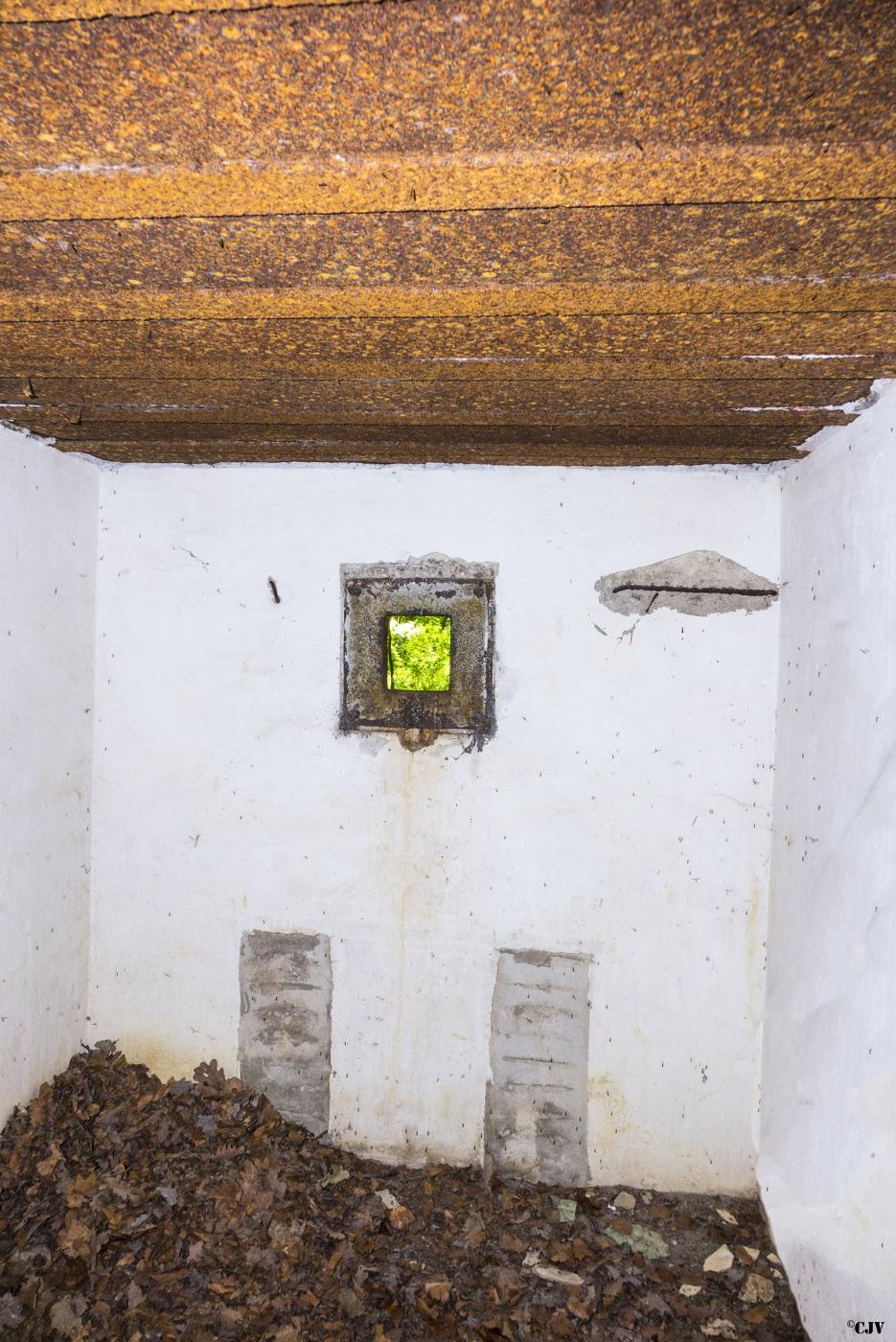Ligne Maginot - BAMBESCH SUD 2 - (Blockhaus pour arme infanterie) -  - Lia VERMEULEN