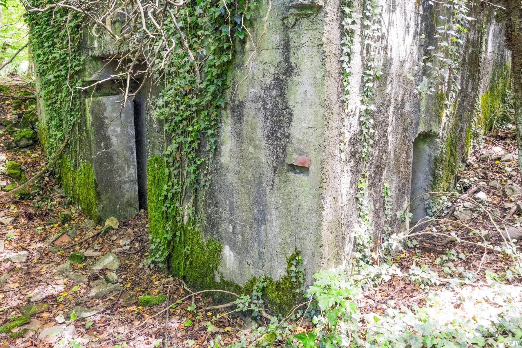 Ligne Maginot - BAMBESCH SUD 4 - (Blockhaus pour canon) - Les entrées - Lia VERMEULEN