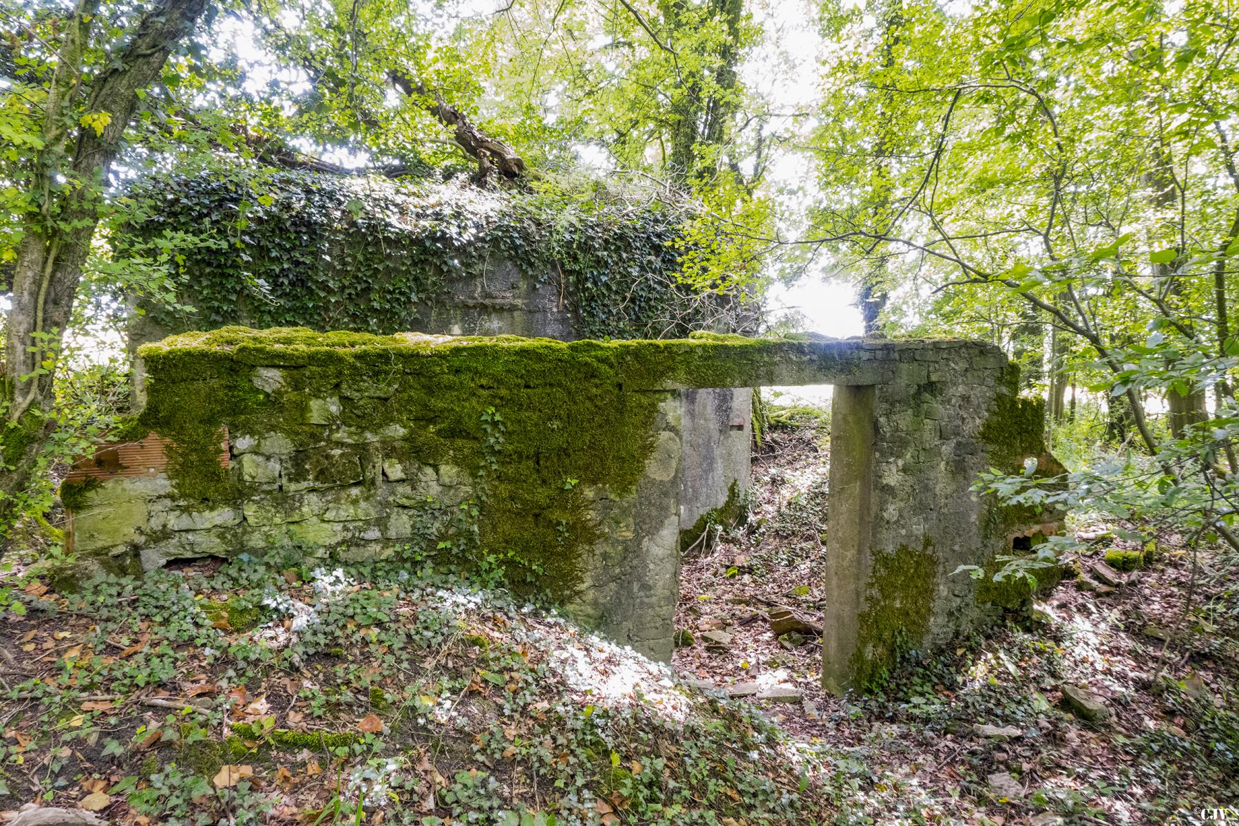 Ligne Maginot - BAMBESCH SUD 4 - (Blockhaus pour canon) -  - Lia VERMEULEN