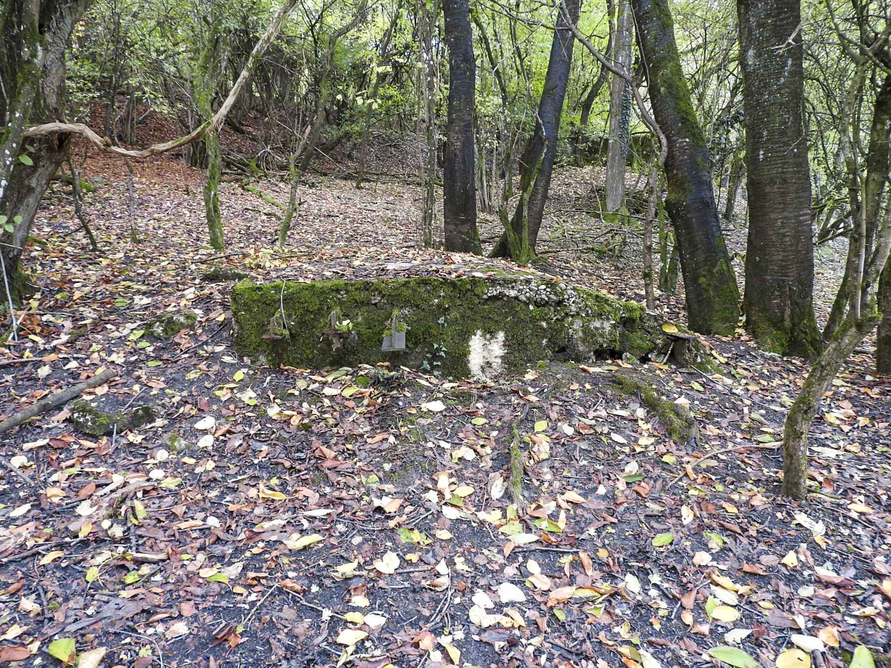 Ligne Maginot - BAUDSTUNDEN 3 - (Blockhaus pour arme infanterie) -  - STENGER Mathieu