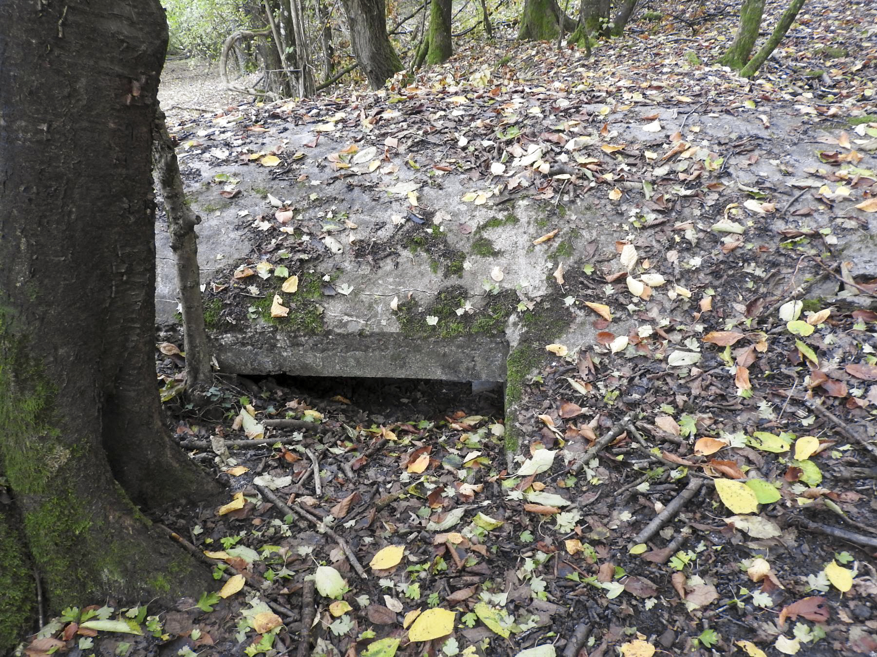 Ligne Maginot - BAUDSTUNDEN 3 - (Blockhaus pour arme infanterie) - Le créneau pour FM - STENGER Mathieu