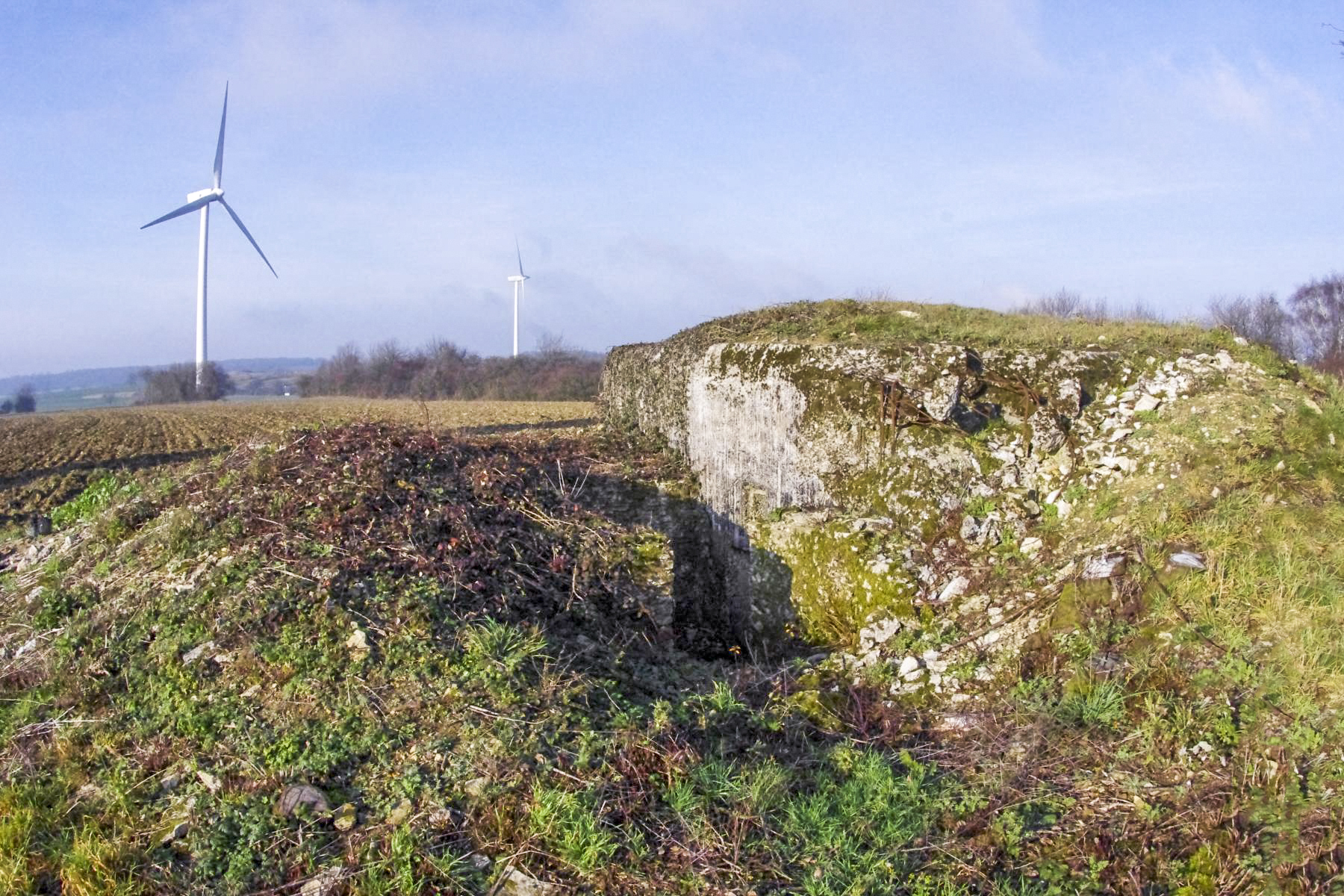 Ligne Maginot - EINSELING NORD - (Blockhaus pour arme infanterie) - L'entrée du blockhaus. - STENGER Mathieu