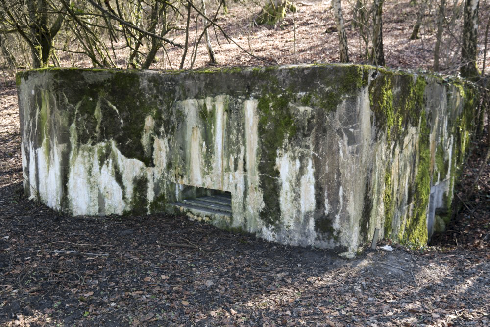Ligne Maginot - GRAIBFELD  CENTRE - (Blockhaus pour arme infanterie) -        - Alain Perouffe