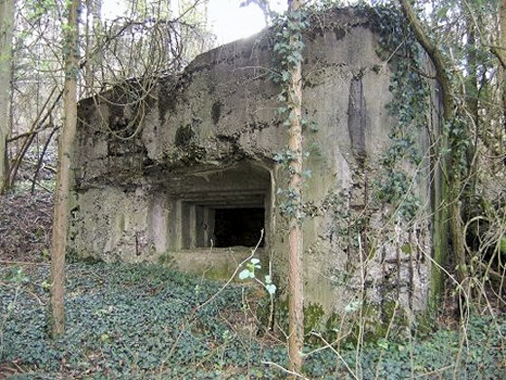 Ligne Maginot - GRAIBFELD Est (Blockhaus pour canon) -  - AALMA - www.lignemaginot.com