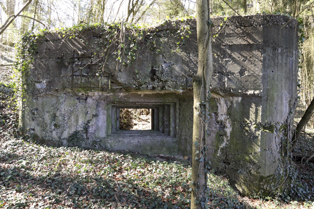 Ligne Maginot - GRAIBFELD EST - (Blockhaus pour canon) -  - Alain Perouffe