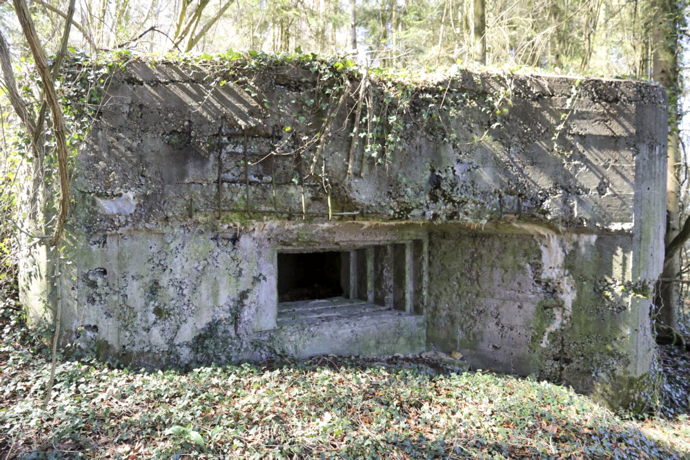 Ligne Maginot - GRAIBFELD EST - (Blockhaus pour canon) -  - Alain Perouffe