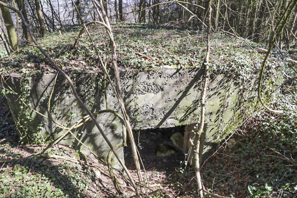 Ligne Maginot - GRAIBFELD EST - (Blockhaus pour canon) -  - Alain Perouffe