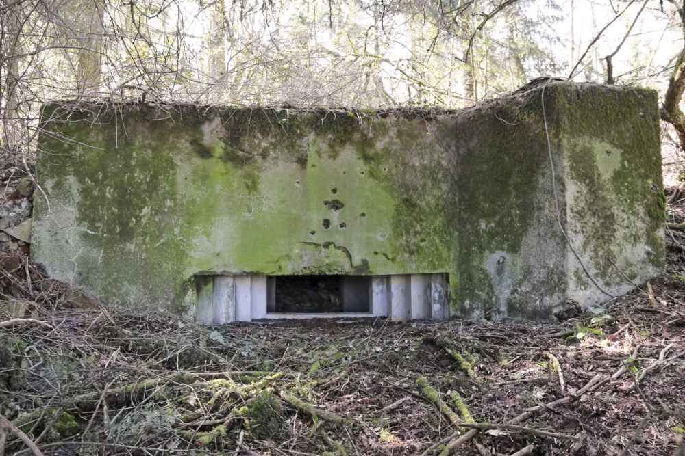 Ligne Maginot - GRAIBFELD EST 2 - (Blockhaus pour canon) -  - Alain Perouffe
