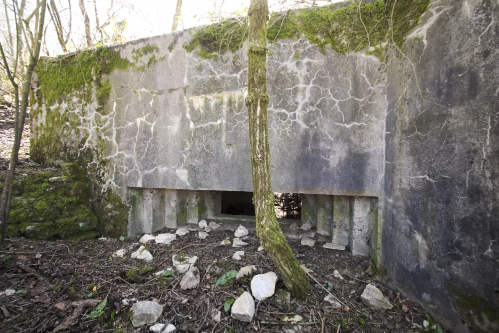 Ligne Maginot - GRAIBFELD  OUEST - (Blockhaus pour canon) -   - Alain Perouffe