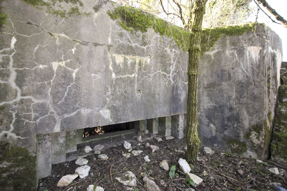 Ligne Maginot - GRAIBFELD  OUEST - (Blockhaus pour canon) -  - Alain Perouffe