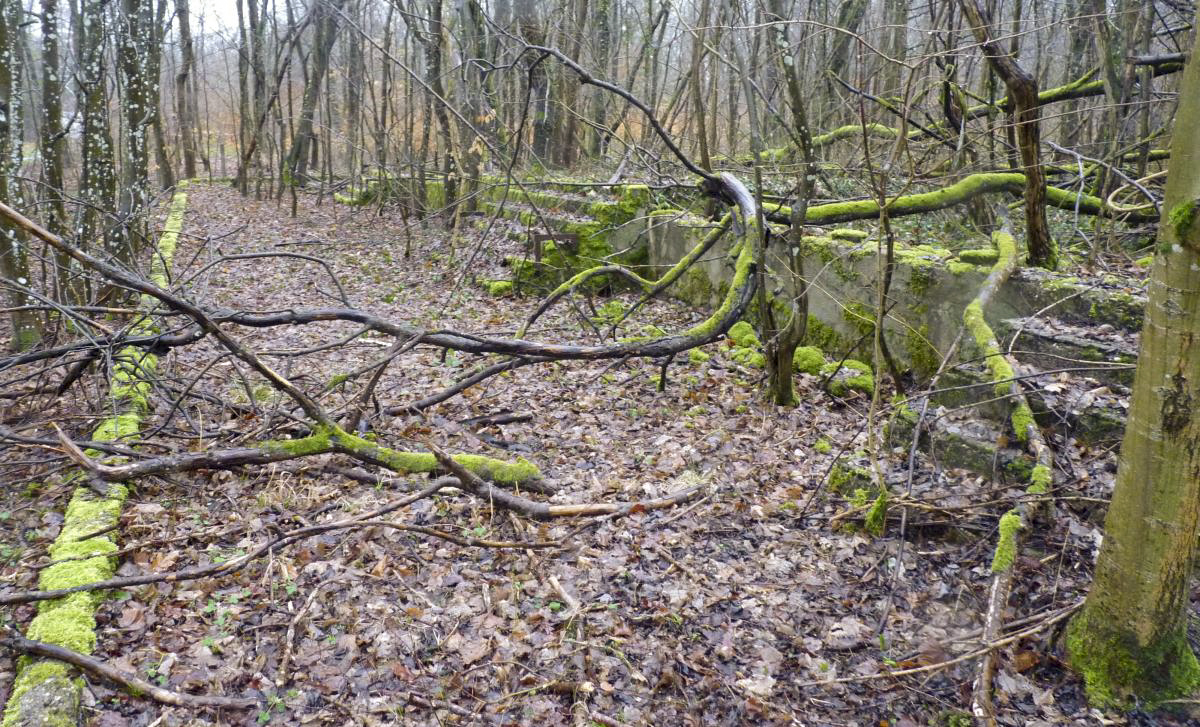 Ligne Maginot - KERFENT - (Casernement) - Fondation d'un baraquement - Aditus