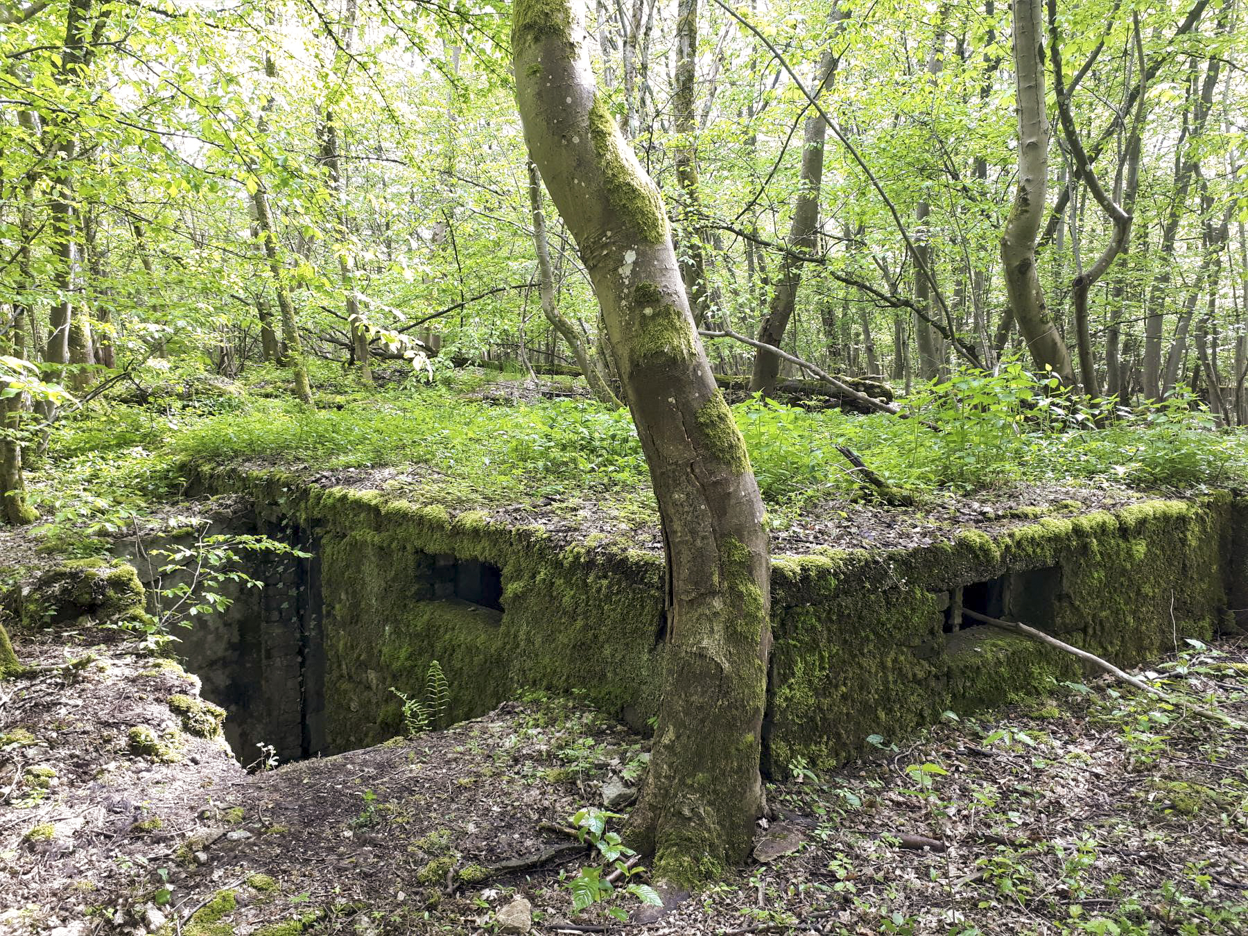 Ligne Maginot - KERFENT - (Casernement) - Sous-sol d'un baraquement - Gregory Fuchs