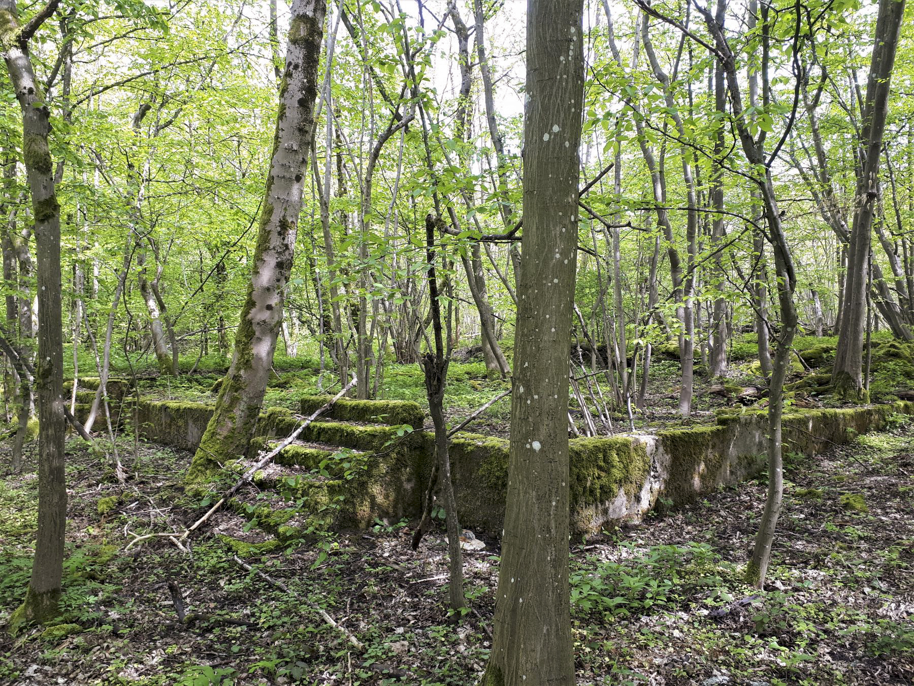 Ligne Maginot - KERFENT - (Casernement) - Fondation d'un baraquement - Gregory Fuchs