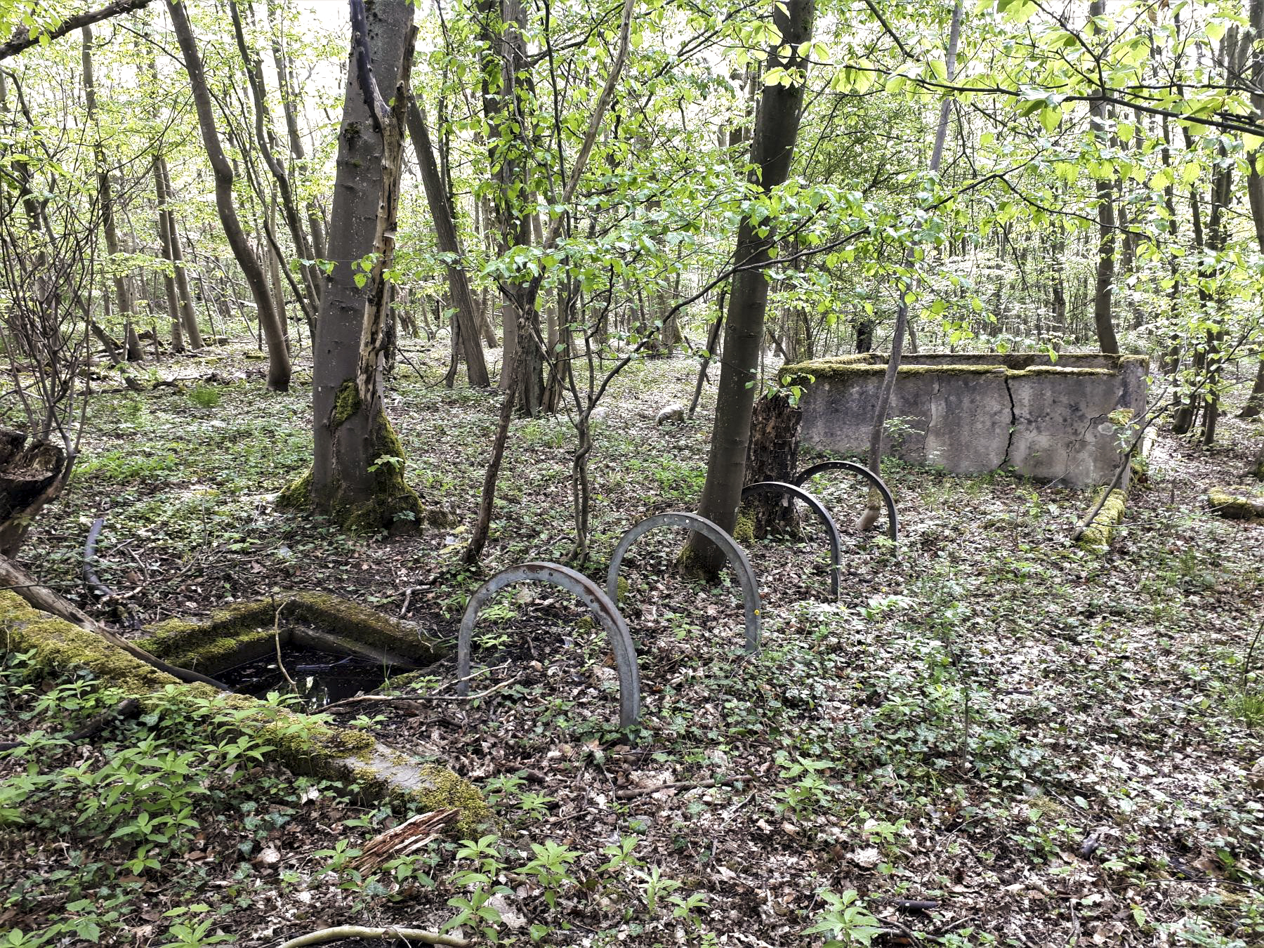 Ligne Maginot - KERFENT - (Casernement) -  - Gregory Fuchs