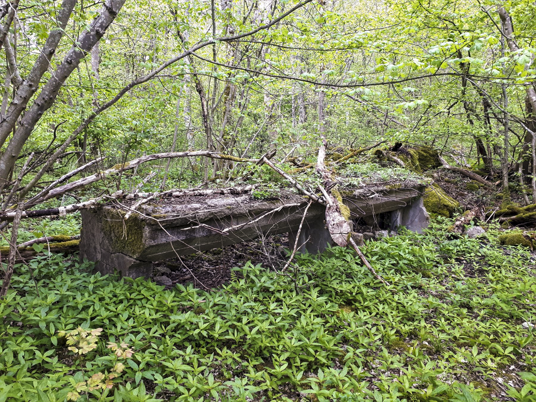 Ligne Maginot - KERFENT - (Casernement) - Lavabo - Gregory Fuchs