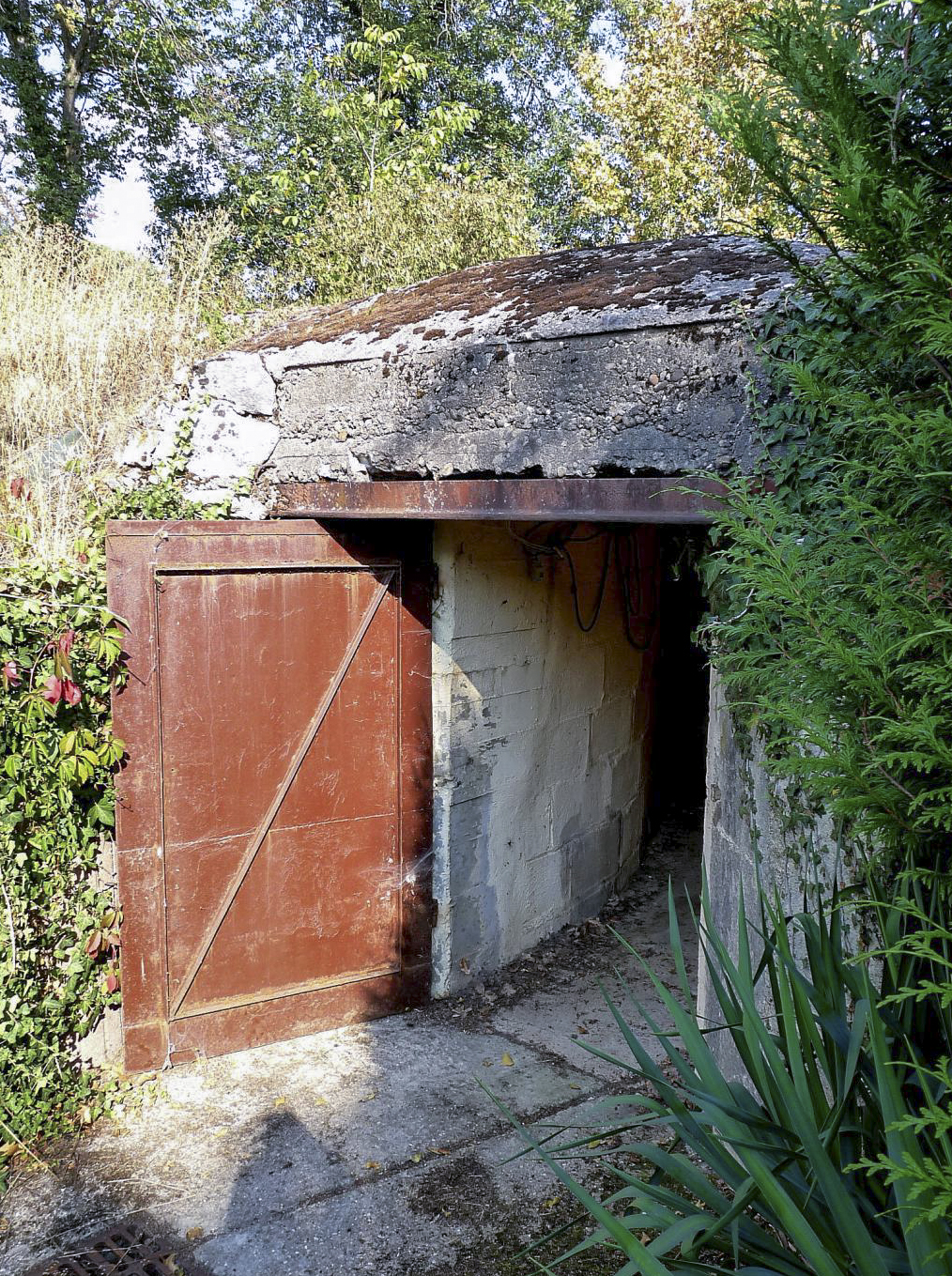 Ligne Maginot - KNAPPENFELD (3° GRPE 163°RAP) - (PC de Quartier) -  - Sylvie Laure LAMBERT
