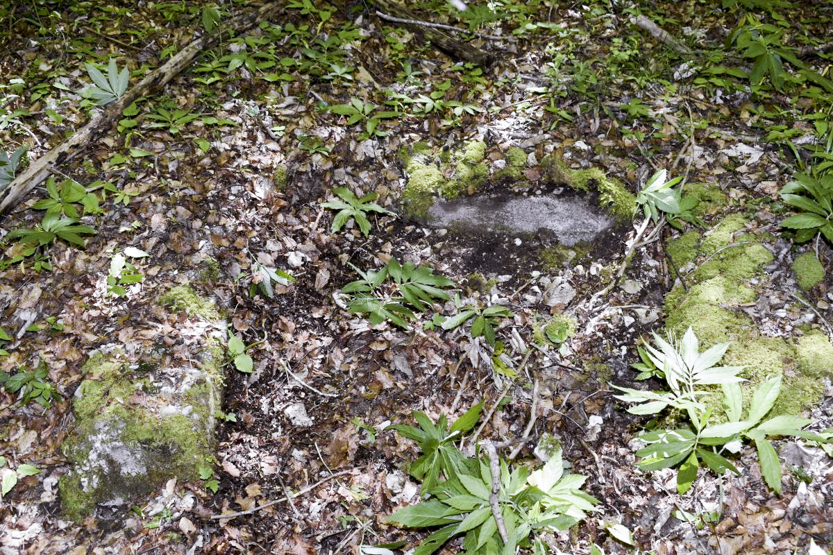 Ligne Maginot - GLASERBERG - FONTAINE - (Divers) - Emplacement probable d'une fontaine. - D. Froehly
