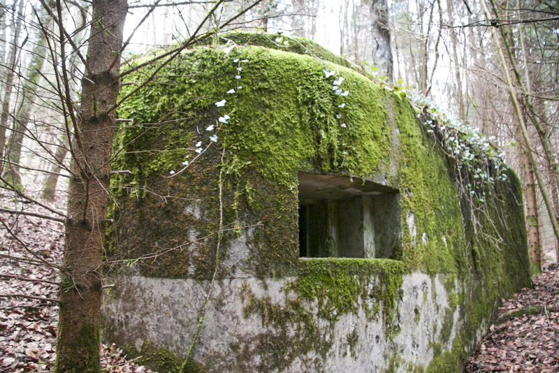Ligne Maginot - GEBIRGMATTEN SUD - (Blockhaus pour arme infanterie) -  - Alain Perouffe